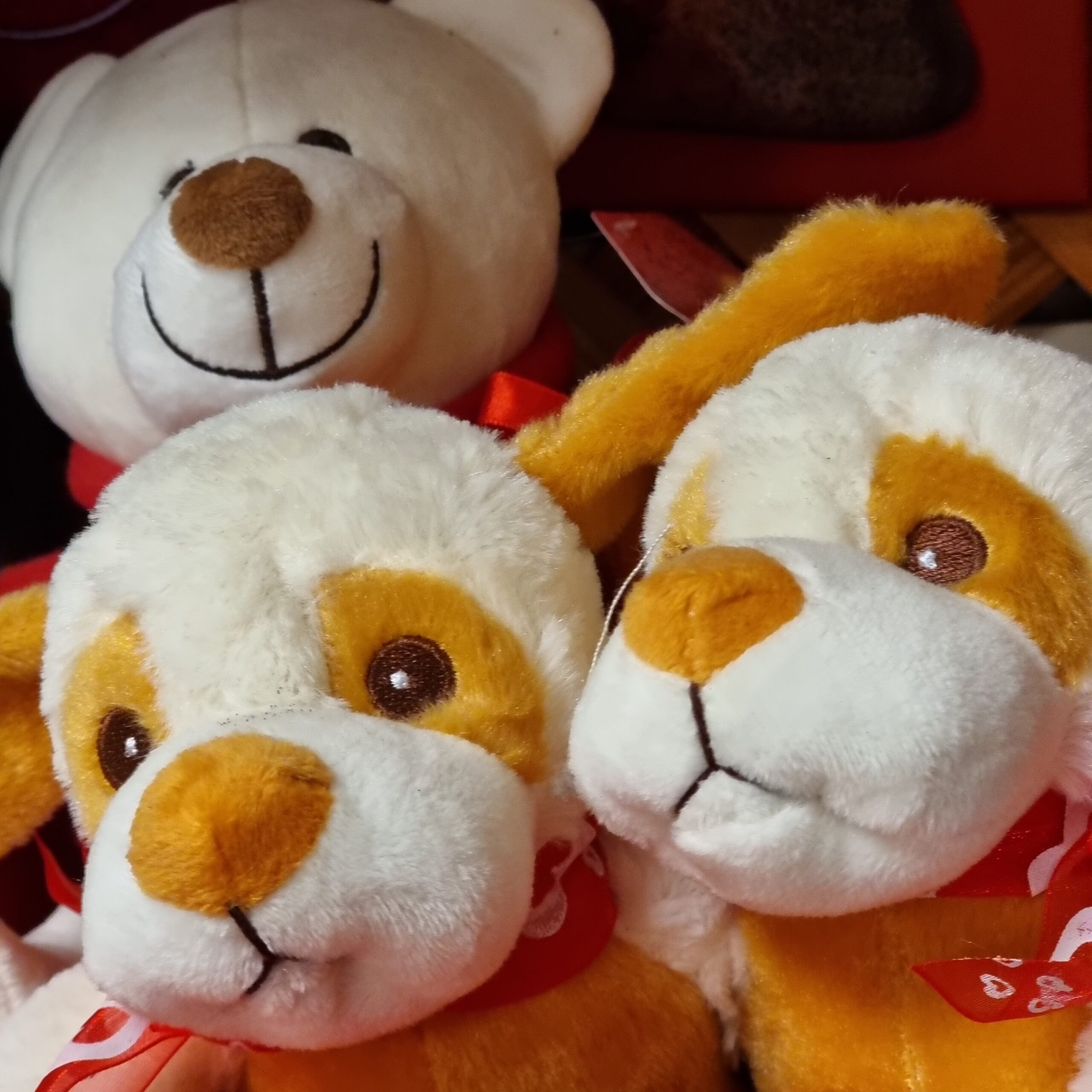 Peluix Rufí Peluix Rufí - de la Imatge a 1