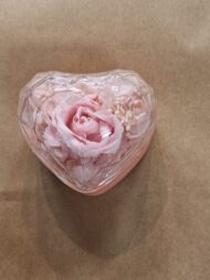 Deltall Irene - de la Imatge a 2