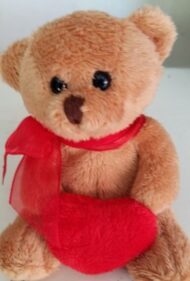 Peluix petit - de la Imatge a 2