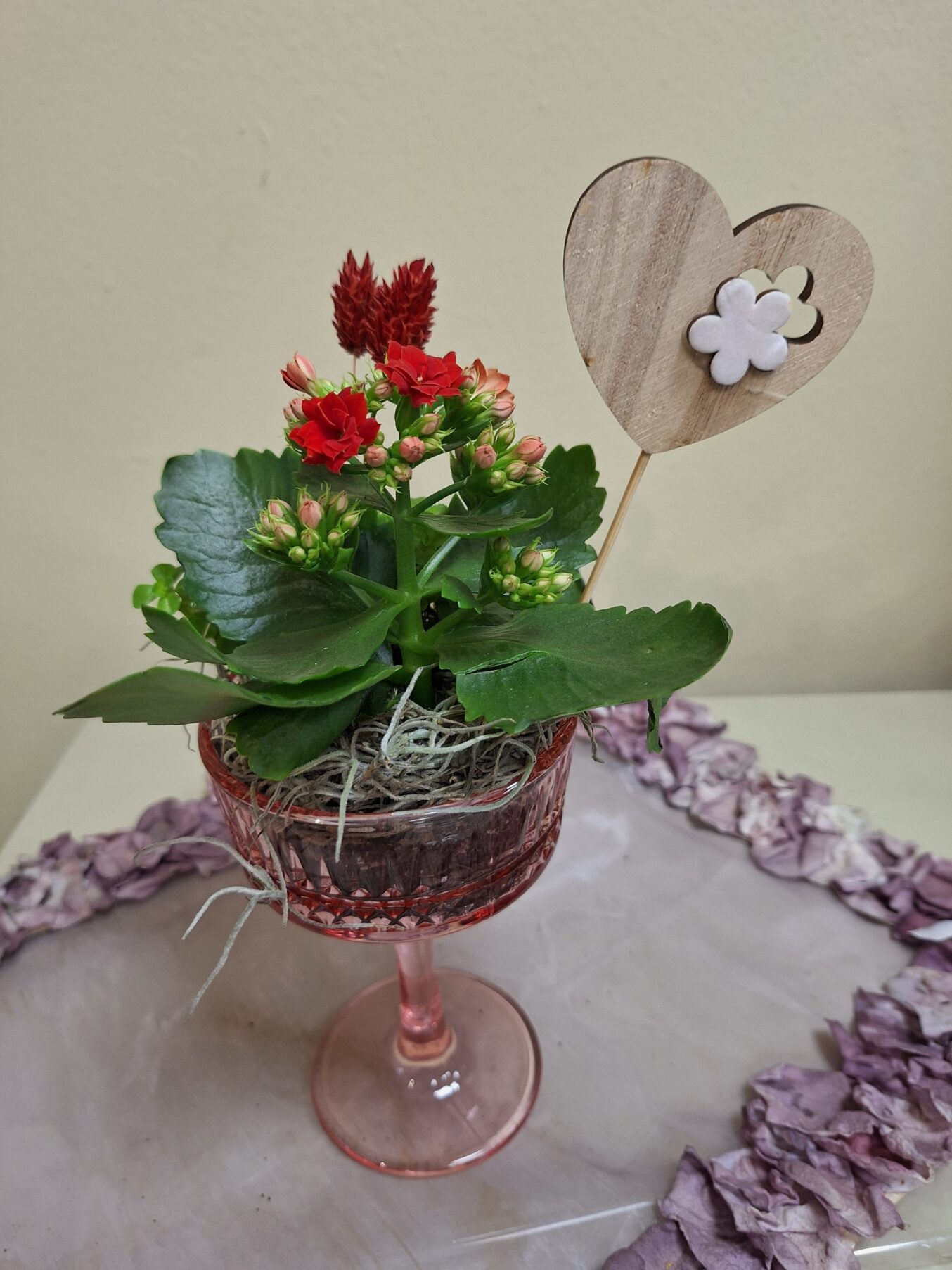 Composició Cora Composició Cora - de la Imatge a 1